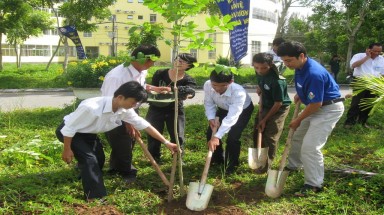  Đà Nẵng: Trồng 1.500 cây xanh tại lễ ra quân “Tết trồng cây” năm 2015