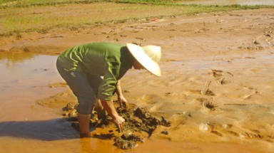  Cao Bằng: Vỡ bể chứa thải nhà máy chì kẽm, môi trường bị ô nhiễm nặng