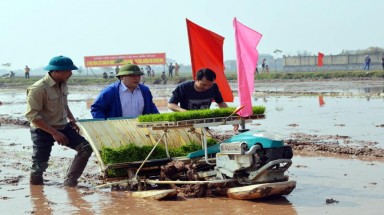  Ấn tượng với hình ảnh Bí thư, Chủ tịch Hà Nội xuống đồng đi cấy