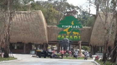  Bất thường thông tin khỉ nặng 150 gram ở  Vinpearl Safari Phú Quốc 