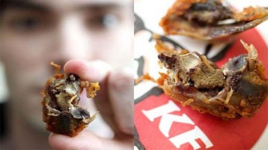  Săm soi nhiều "vật thể lạ" trong gà rán KFC