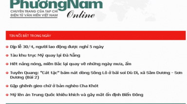   Phuongnam.net.vn ra mắt phiên bản dành cho di động