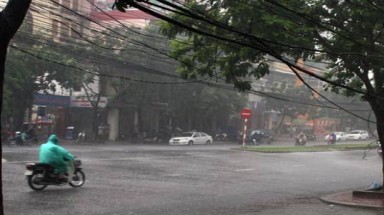  TP. Hồ Chí Minh: Mưa lớn kèm gió lốc gây nhiều thiệt hại 