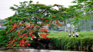  Thời tiết ngày 18 tháng 5: Nắng nóng mở rộng ra khu vực Bắc Bộ, Trung Bộ có nơi trên 39 độ C 