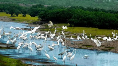 Tọa đàm Xây dựng Diễn đàn đối tác về Bảo tồn đa dạng sinh học 