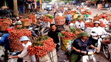  Trung Quốc có thể tạm đóng một số cửa khẩu với Việt Nam