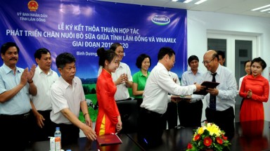  Vinamilk và Lâm Đồng hợp tác phát triển chăn nuôi bò sữa giai đoạn 2015- 2020