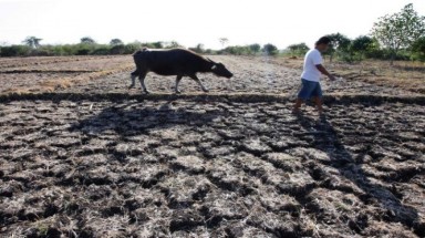   Lo ngại El Nino ảnh hưởng vụ mùa  Đông Nam Á