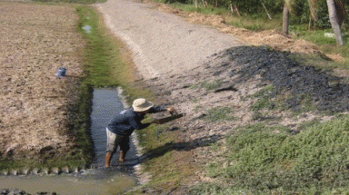  Giữ nước trong mùa mưa