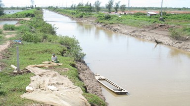  Bạc Liêu: Nhà máy hại nông dân