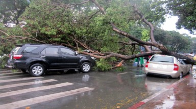  Thời tiết ngày 8/7: Nam bộ đề phòng dông lốc 