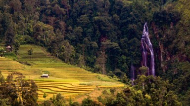 Một vòng mùa lúa Lào Cai