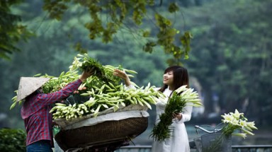 Thời tiết ngày 9 tháng 9: Các vùng trên cả nước có mưa dông rải rác, Trung bộ nền nhiệt giảm