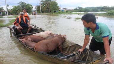  Đồng Nai: Mưa lũ khiến hàng ngàn hộ dân trắng tay