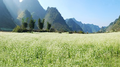   Bắc bộ nắng nhiều, Tây Nguyên và Nam bộ có mưa to cục bộ 