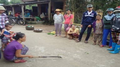  Quảng Nam: Rắn lục đuôi đỏ xuất hiện tràn lan 