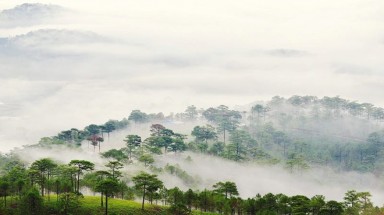   Triển lãm ảnh nghệ thuật trên toàn quốc tại Lâm Đồng