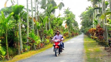  Long An: Xây dựng “Sách xanh”, “Sách đen” về môi trường