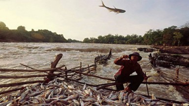  Thư ngỏ của Liên minh Cứu sông Mê Kông gửi Các nhà phát triển đập thủy điện Don Sahong 