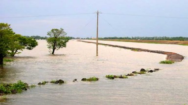 Ninh Thuận: Chủ động phòng chống sạt lở đê biển trong mùa mưa bão